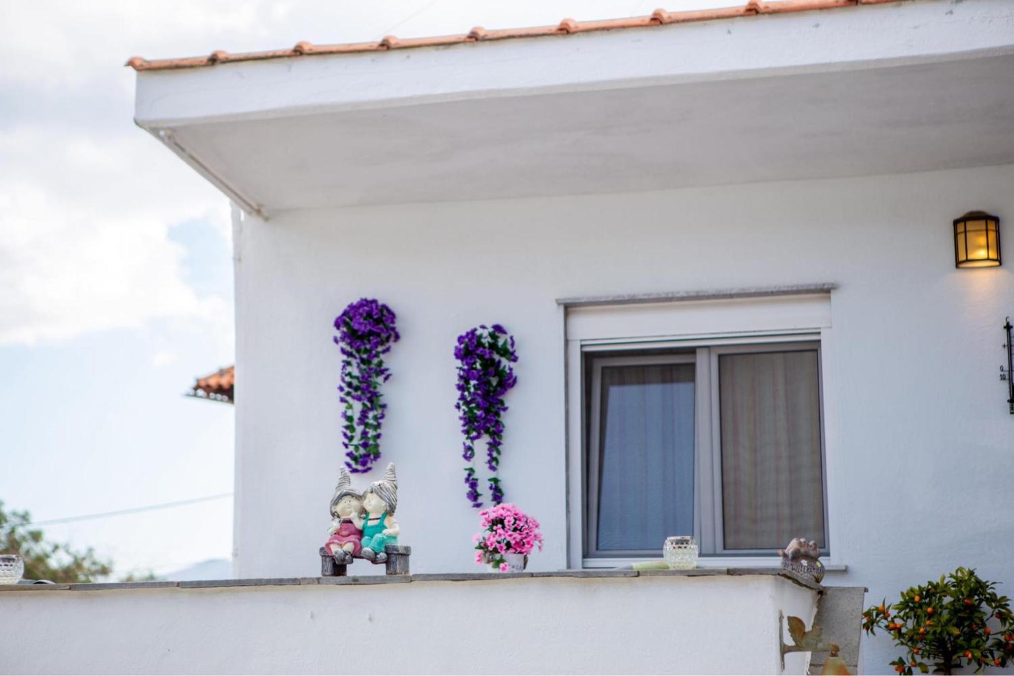Titika House ξενώνας Βρασνά Εξωτερικό φωτογραφία